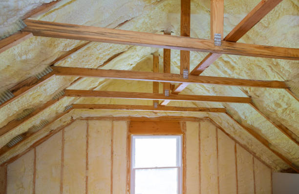 Professional Insulation Contractor in LA